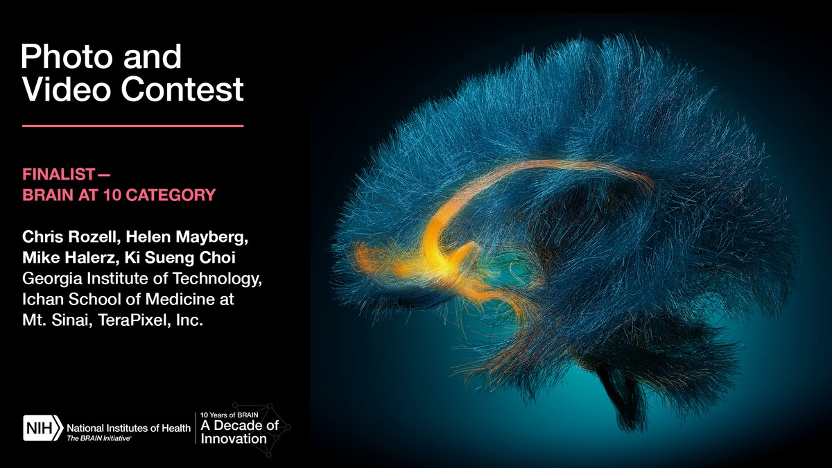 Decoding Depression—BRAIN at 10 category finalist by Chris Rozell, Mike Halerz ,Ki Sueng Choi, Christopher Rozell, &amp; Helen Mayberg, Georgia Institute of Technology, Ichan School of Medicine at Mt. Sinai &amp; TeraPixel, Inc go.nih.gov/ozb9cEV #studyBRAIN #BRAINInitiative