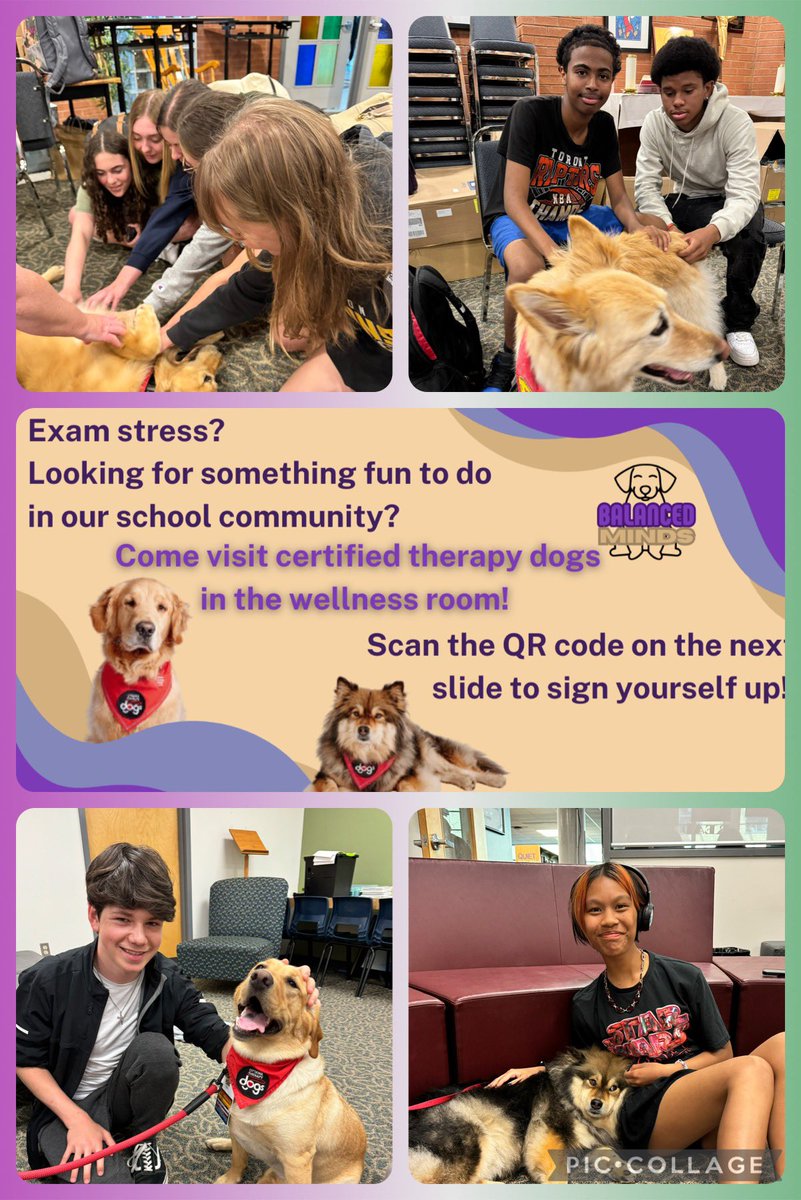 Another successful Civic Action Initiative for our #SFXFocus students! Balanced Minds partnered with <a href="/TherapeuticPaws/">Therapeutic Paws of Canada</a> &amp; Ottawa Therapy Dogs to bring in some fun, loving, and furry friends to help with pre &amp; post exam stress. 💜🐶