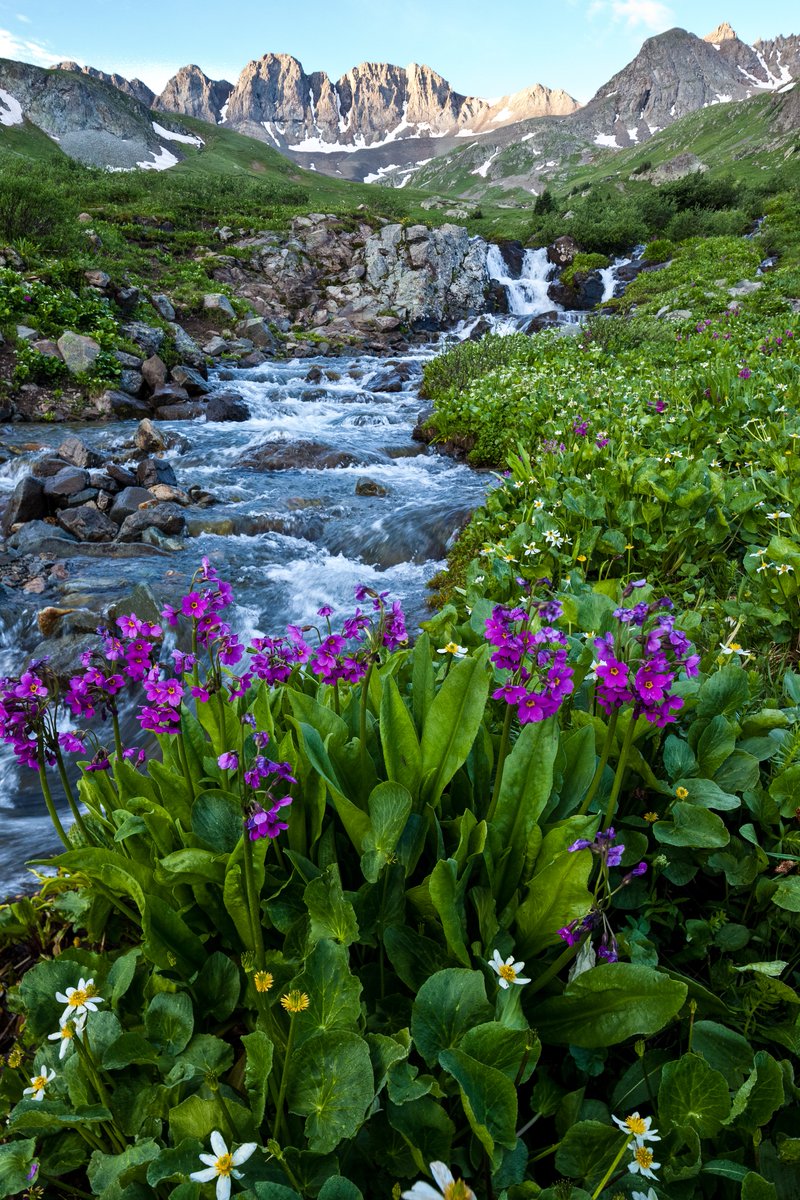 With dramatic rocky peaks, wildflower meadows and picturesque streams, Handies Peak Wilderness Study Area in Colorado is an alpine delight.

Photo by Bob Wick / @blmnational