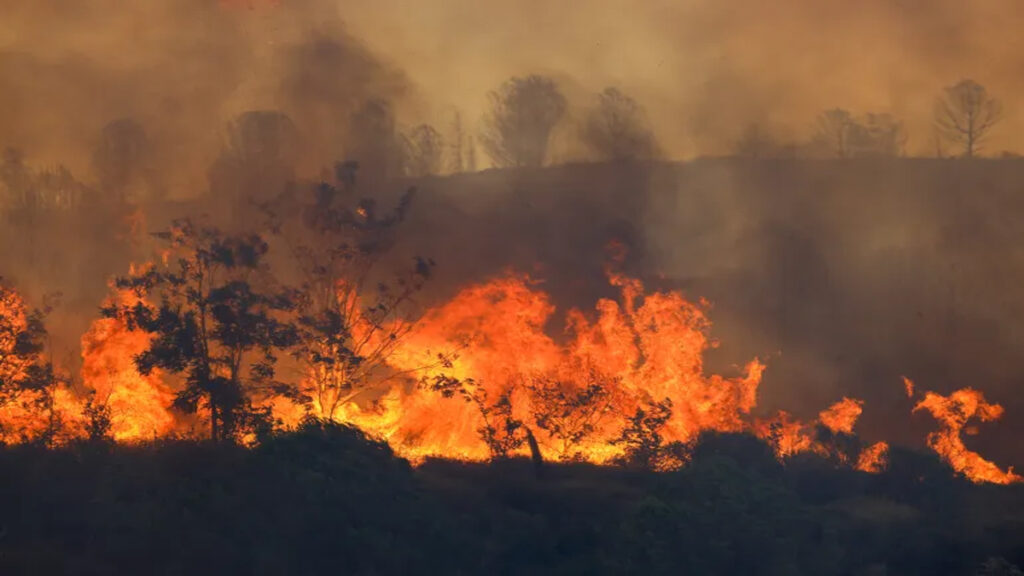 তুরস্কে দাবানলে নিহত ৫
