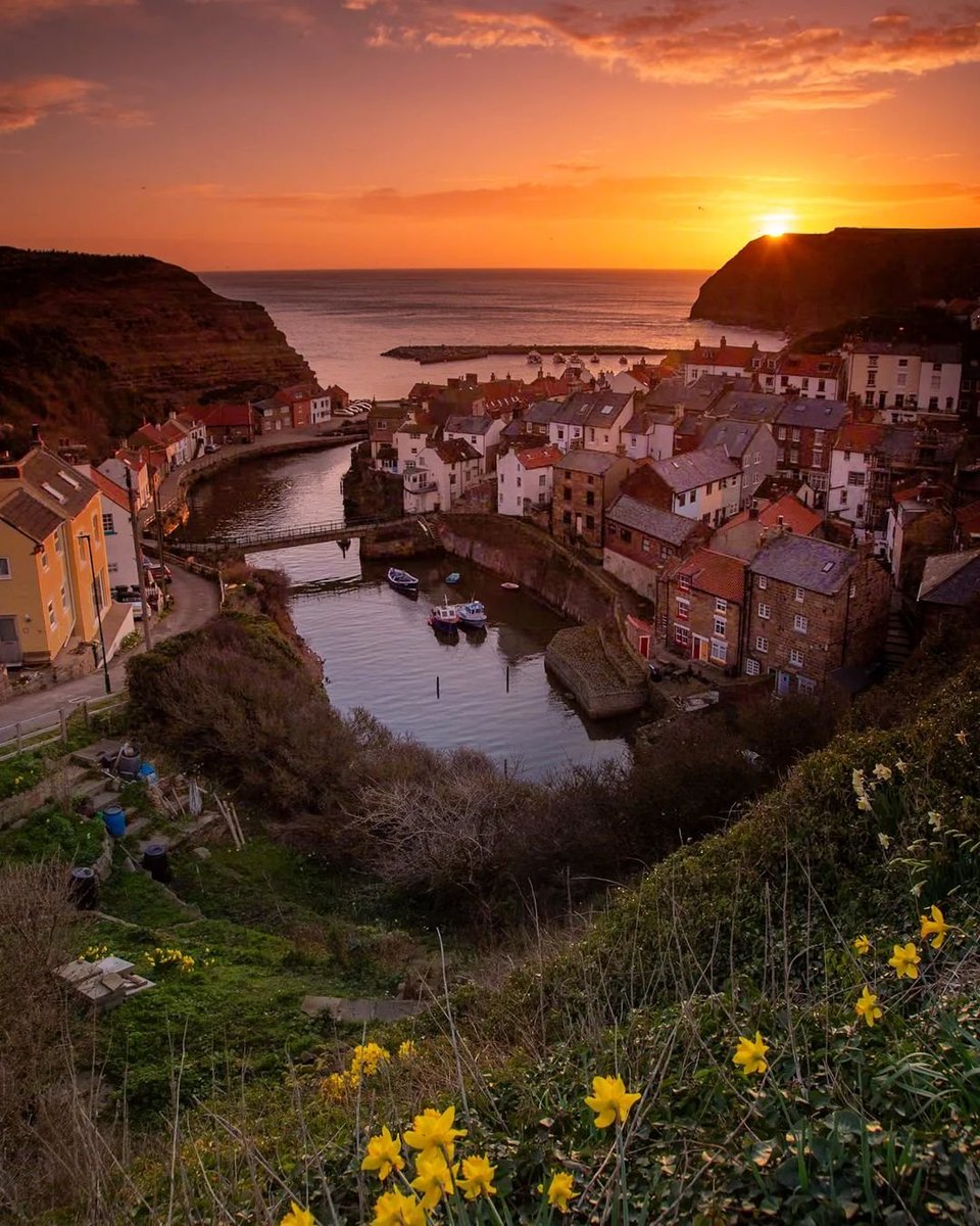 AmyUsa24's tweet image. The sun rises, painting the sky in a palette of vibrant hues. Embrace the beauty of a new day 🌞
#HelloHappy