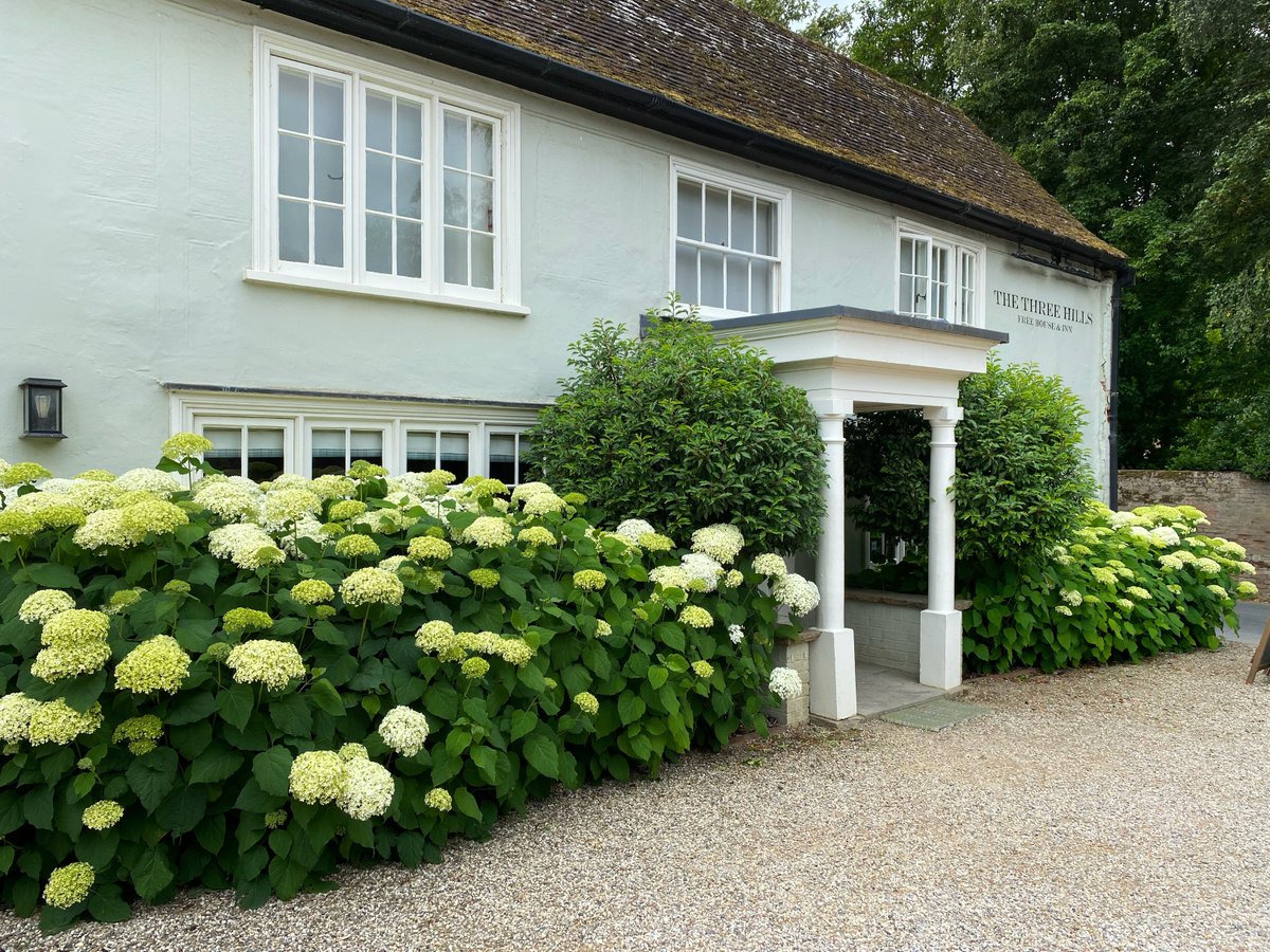 Great British Pub Awards 2024: Full List of Finalists Across the UK - TimeOut - goo.gl/alerts/CHTjDD #GoogleAlerts We are proud to be part of this illustrious group and we look forward to the final!

#bestgarden