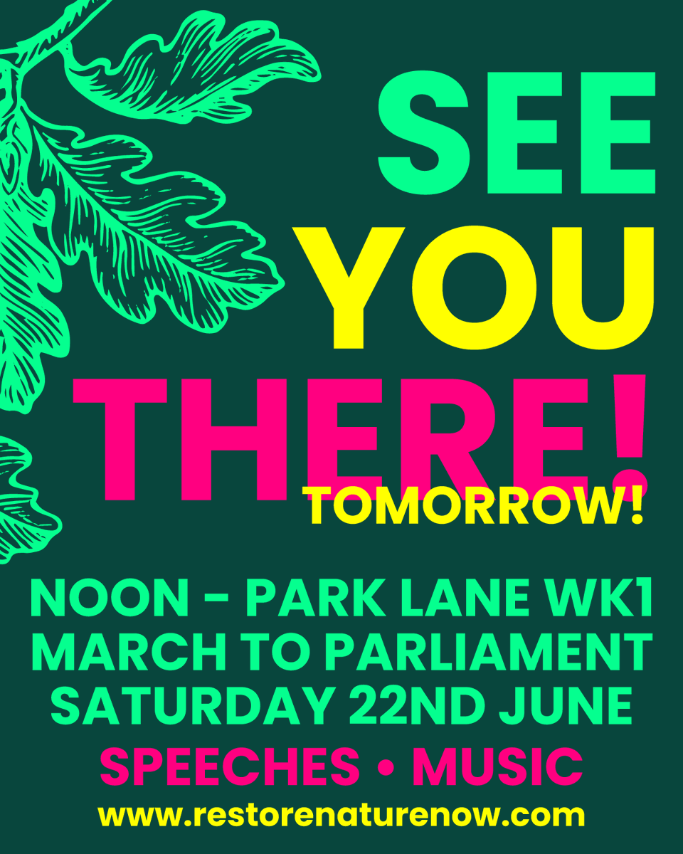 RNNMarch's tweet photo. Tomorrow, noon. We march for nature. 

All you need to know and more.... https://t.co/Qs11og97vm https://t.co/t8xHHs4HMl