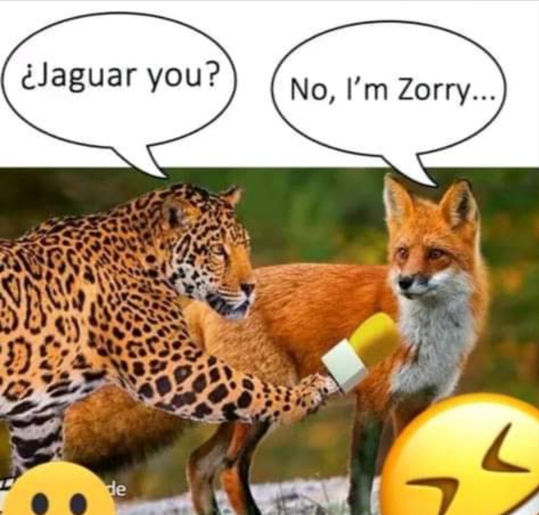 🤣🤣🤣🤣🤣🤣🤣🤣🤣