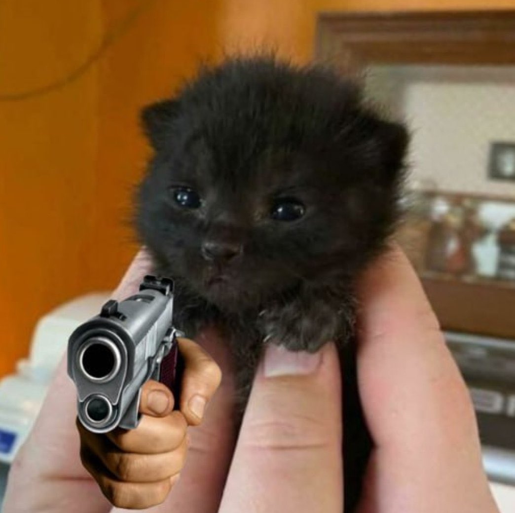 ittybittycto's tweet photo. HEY @DEXToolsApp WE JUST PAID FOR THE UPDATE 

LIST US FAST AND GIB TRENDING OR…..

$ITTY 🐈‍⬛ https://t.co/W4oDZWyZjS