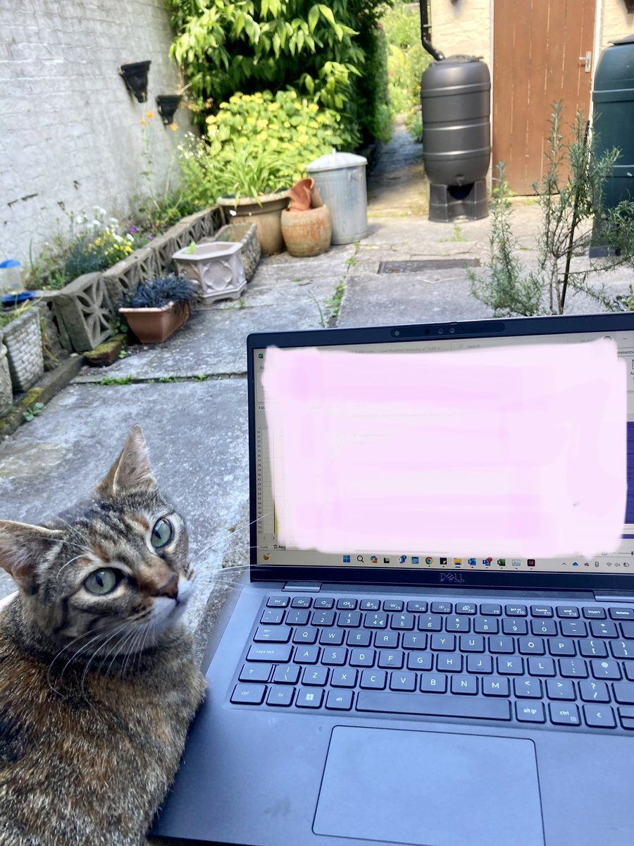 Elly_Roberts1's tweet photo. Got my Assistant Editor helping me this morning! 😼🤓✍🏻

📖💻📱We have got some great content coming out for @EYEearlyEd 😁 👏🏻💪🏻

#CatsofTwittter #earlyyearsexpert #catcapers https://t.co/LzUWXs5x16