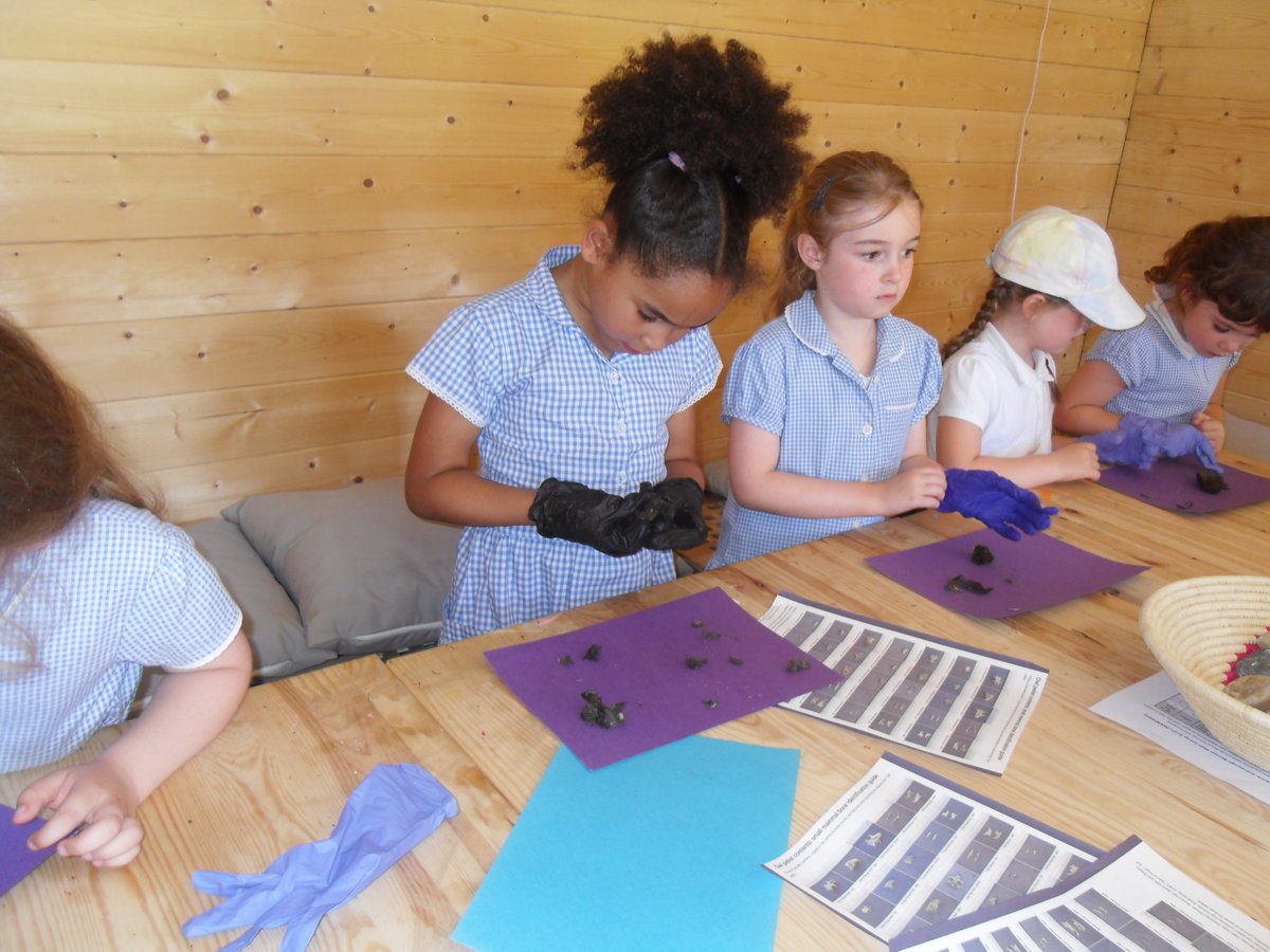 NewburghHalton tweet media