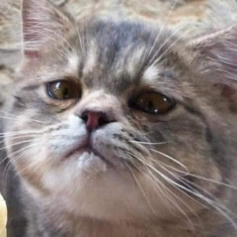 หน้าอ้อนมาก เห็นแล้วอยากให้หมดเลยทุกอย่าง