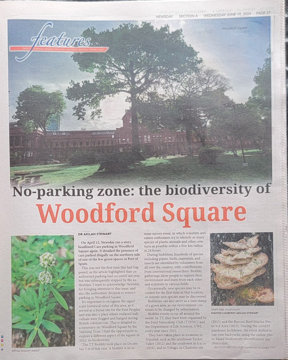 Akilah Stewart tweet media