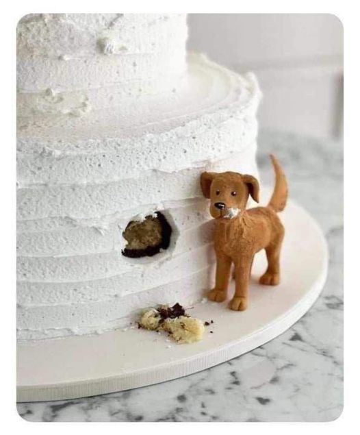 chelito223's tweet photo. La torta perfecta no exis… https://t.co/qpMnw4vd59