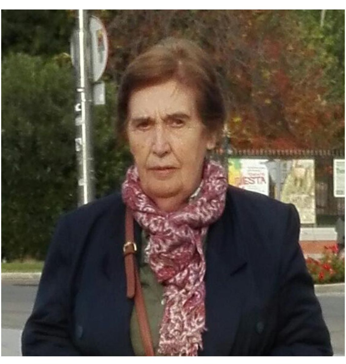 ColegioMariaVirgen tweet media