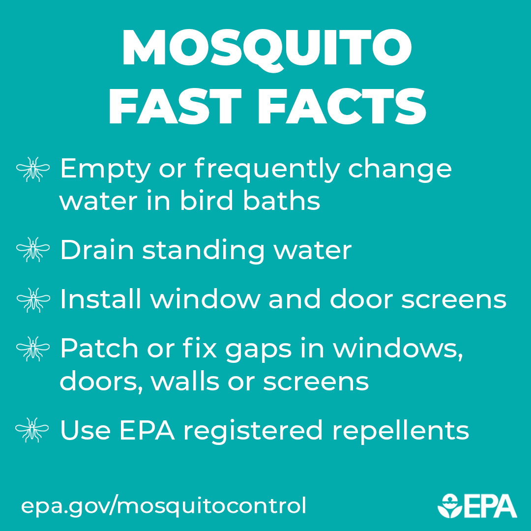 EPAregion3's tweet photo. Use these tips to get #mosquitoes to bug off this summer. ๐ฆ https://t.co/a1pzFz2I0x
#MosquitoControlWeek https://t.co/tBILrrh3OD