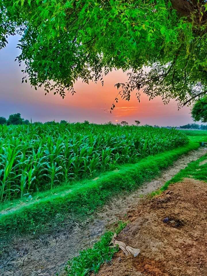 Ziya🦋 (@z22560) on Twitter photo مرشد گروپ
Followback 💯
<a href="/Z22560/">ZIA🦋</a>
<a href="/IRi8e4U/">Smile 😃</a>
<a href="/n_imra1/">Nimra tariq</a>
<a href="/KarRiz45/">khursheed</a>
<a href="/zulkum/">zulkum🇵🇰 🇵🇸</a>
<a href="/YashuKH/">Yashu D'Lewis</a>
<a href="/Sana_IIK/">KhanZaadi 🦋</a>
<a href="/_Sania_A/">Sania</a>
<a href="/alfa_hak/">@ALFA_HAK 🧢🇹🇷 TS</a>
@NClahore
<a href="/iffat246/">Dr.iffat 🐦</a>
<a href="/rio76g/">ندي🤍</a>
<a href="/Ldovyka/">✧⃝🇧🇷᯾༄🍃𝑙𝑢𝑑𝑜𝑣𝑦𝑘𝑎🍃 ᯾༄✧⃝🇧🇷</a>
<a href="/Mahi9873/">Mahi</a>
<a href="/m1zuiyy55/">كود خصم كروكس ( C22 ) كوبون الخصم قوي➡️</a>
<a href="/zuni27690/">zuni khan</a>
<a href="/ProfSK5/">ProfSK</a>
@QUUEN_E_1
<a href="/SadiaCh123/">sadia ch</a>
<a href="/Kanwalbaloch__/">kanwal Baloch</a>
<a href="/AsiaBibi4569/">Asia Bibi</a>
@Marvelouskhan__ مرشد گروپ
Followback 💯
<a href="/Z22560/">ZIA🦋</a>
<a href="/IRi8e4U/">Smile 😃</a>
<a href="/n_imra1/">Nimra tariq</a>
<a href="/KarRiz45/">khursheed</a>
<a href="/zulkum/">zulkum🇵🇰 🇵🇸</a>
<a href="/YashuKH/">Yashu D'Lewis</a>
<a href="/Sana_IIK/">KhanZaadi 🦋</a>
<a href="/_Sania_A/">Sania</a>
<a href="/alfa_hak/">@ALFA_HAK 🧢🇹🇷 TS</a>
@NClahore
<a href="/iffat246/">Dr.iffat 🐦</a>
<a href="/rio76g/">ندي🤍</a>
<a href="/Ldovyka/">✧⃝🇧🇷᯾༄🍃𝑙𝑢𝑑𝑜𝑣𝑦𝑘𝑎🍃 ᯾༄✧⃝🇧🇷</a>
<a href="/Mahi9873/">Mahi</a>
<a href="/m1zuiyy55/">كود خصم كروكس ( C22 ) كوبون الخصم قوي➡️</a>
<a href="/zuni27690/">zuni khan</a>
<a href="/ProfSK5/">ProfSK</a>
@QUUEN_E_1
<a href="/SadiaCh123/">sadia ch</a>
<a href="/Kanwalbaloch__/">kanwal Baloch</a>
<a href="/AsiaBibi4569/">Asia Bibi</a>
@Marvelouskhan__