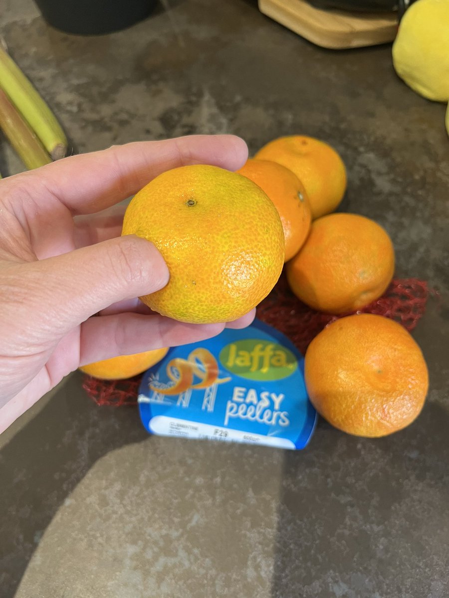 CDu770n's tweet photo. @Tesco Easy Peelers are so easy to peel that your thumb goes straight through the skin when you open the net. Literally delivered 5 mins ago and whole lot going in the bin. Not the first time either. Taking dates off food packaging creates waste. It doesn’t save waste. #rotten https://t.co/cRK4fvfh2l