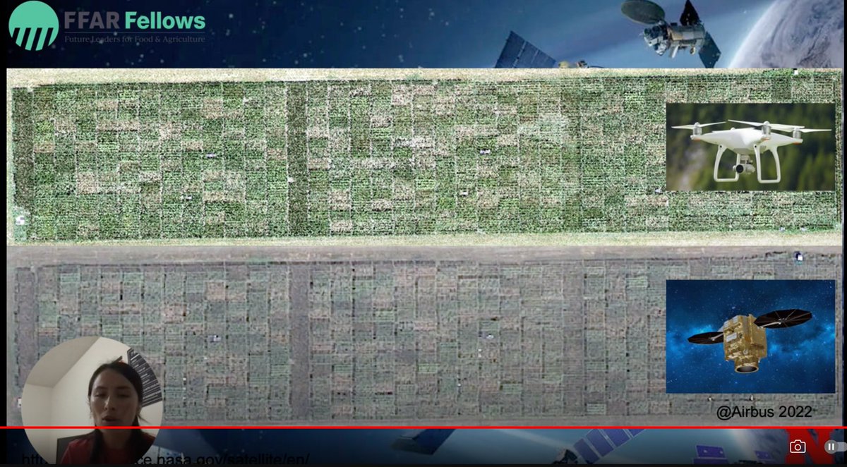 James Schnable (@szintri) on Twitter photo Nikee's talk on satellite based phenotyping of corn is part of the 2024 <a href="/FFARFellows/">FFAR Fellows Program</a> lightning talk contest. You can help pick a winner by voting here: ffarfellows.org/ffar-fellows-l… Nikee's talk on satellite based phenotyping of corn is part of the 2024 <a href="/FFARFellows/">FFAR Fellows Program</a> lightning talk contest. You can help pick a winner by voting here: ffarfellows.org/ffar-fellows-l…
