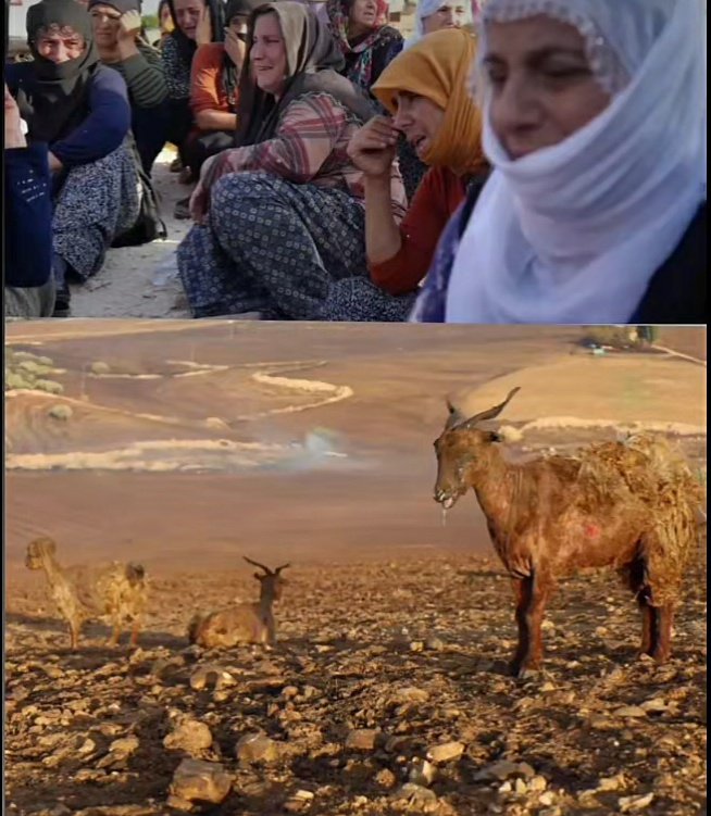 susin_ols's tweet photo. Feryatlar kürtçe olduğu için mi herkes kör, sağır, dilsiz..
Hani hepimiz kardeştik?
#AmedMêrdînSêrtDişewite #DiyarbakırYanıyor https://t.co/3BKrNwUjf8