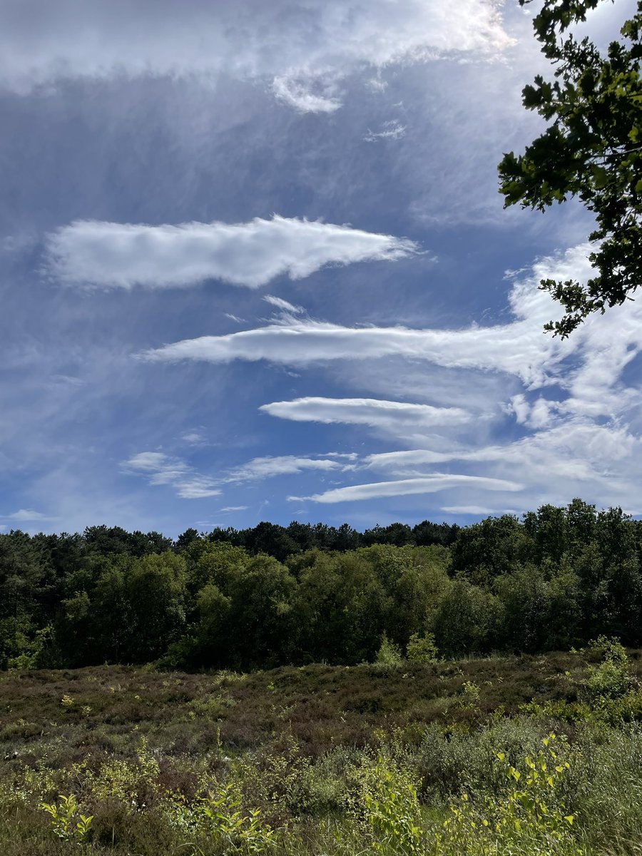 Wat voor wolken zijn dit? Was heel regelmatig. <a href="/GekkeGerrit61/">@Gerrithiemstra</a>