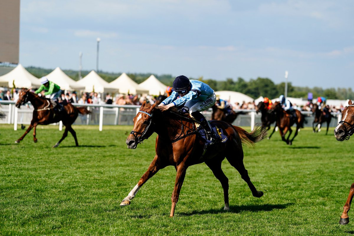 Highclere tweet media