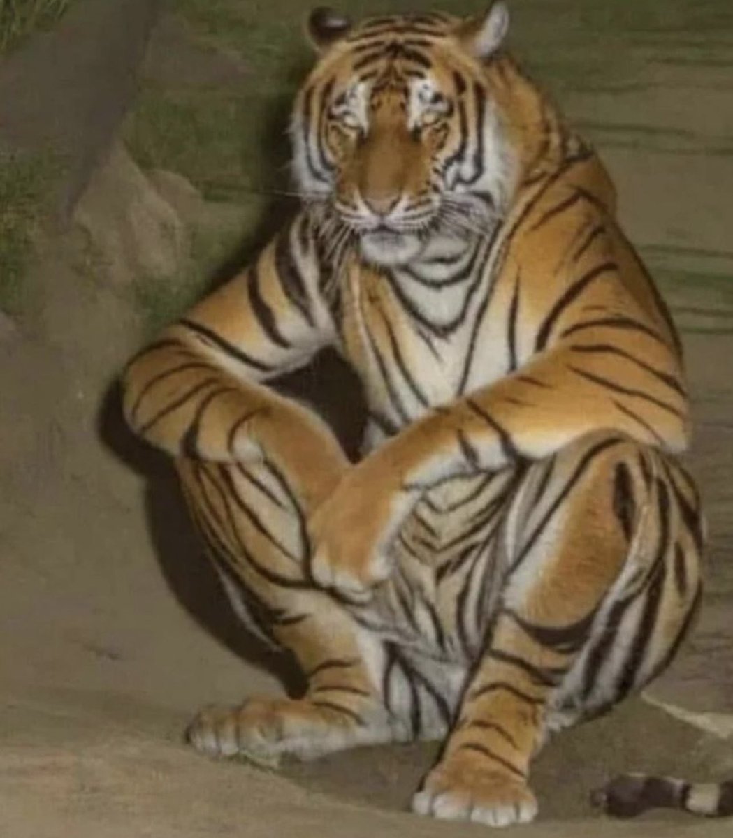 insane poses (@insaneposes) on Twitter photo 