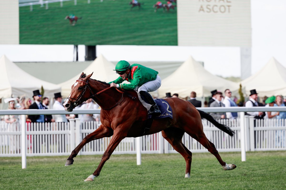 AgaKhanStuds's tweet photo. Brilliant performance from #Calandagan who won the Gr.2 King Edward VII Stakes by 6l @Ascot, ahead of #SeaTheStars’ son Space Legend.
Calandagan has now won 3 consecutive Group races in 3 months. He’s the 2nd foal o/o Gr.3 placed #Calayana (#Sinndar), from the family of Clodovil https://t.co/RaPqnNvTor
