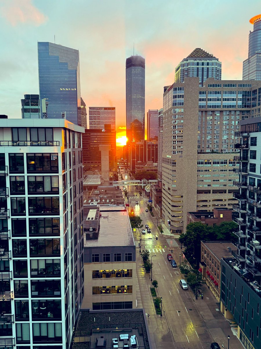 Anna Menezes tweet media