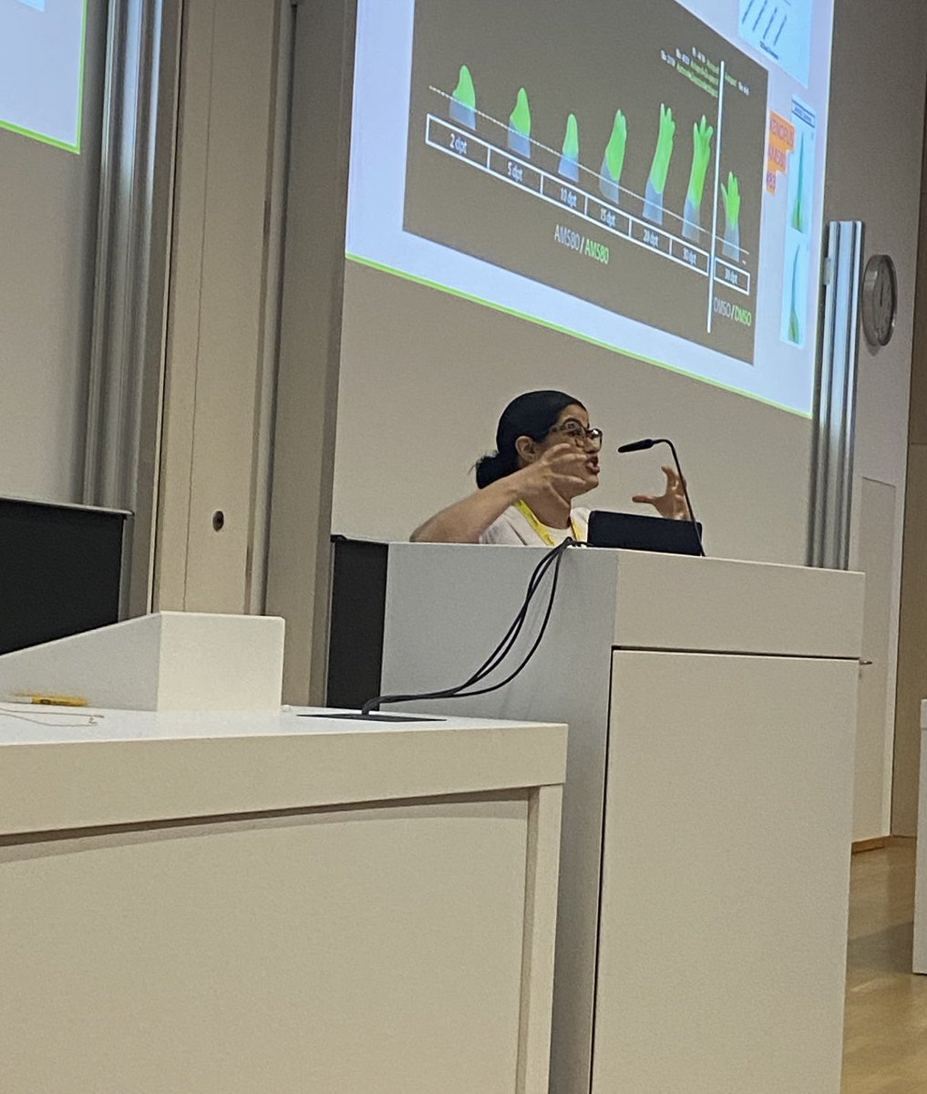 TheAxolotist's tweet photo. An amazing event! #EMBOlimbDev 😊 Thanks for the flash talk opportunity, to came to my poster, to share my love for the Mexican axolotl and specially, Prof. Marty Cohn who capture my most passionate moment hahahah
 *I’m a meme now https://t.co/b5XQ95Ewry