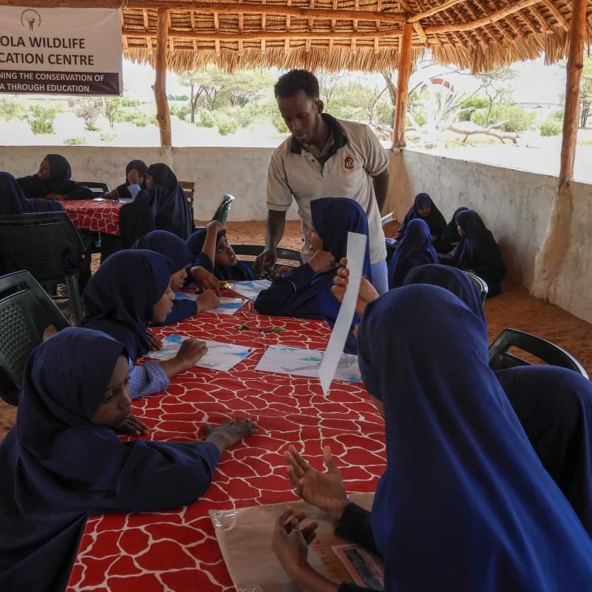 Somali Giraffe Project tweet media