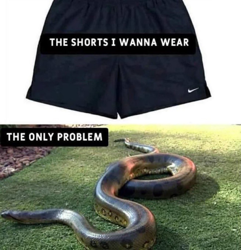 Samuel Acosta Jr (@emperoracosta) on Twitter photo 