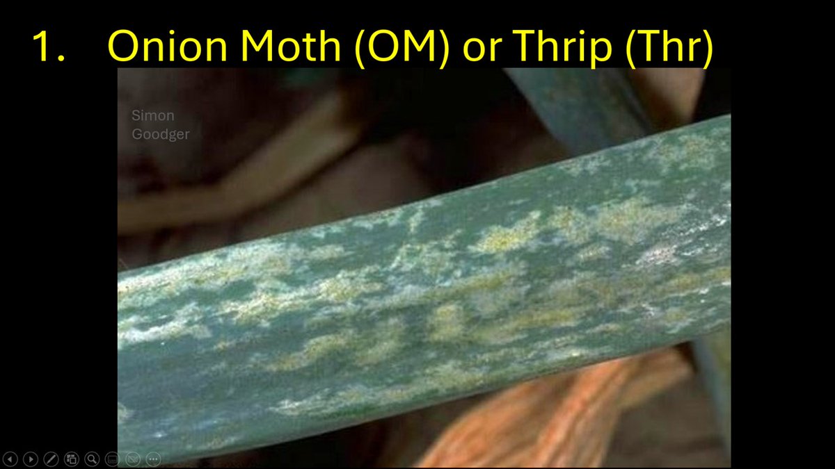 Simon Goodger tweet media