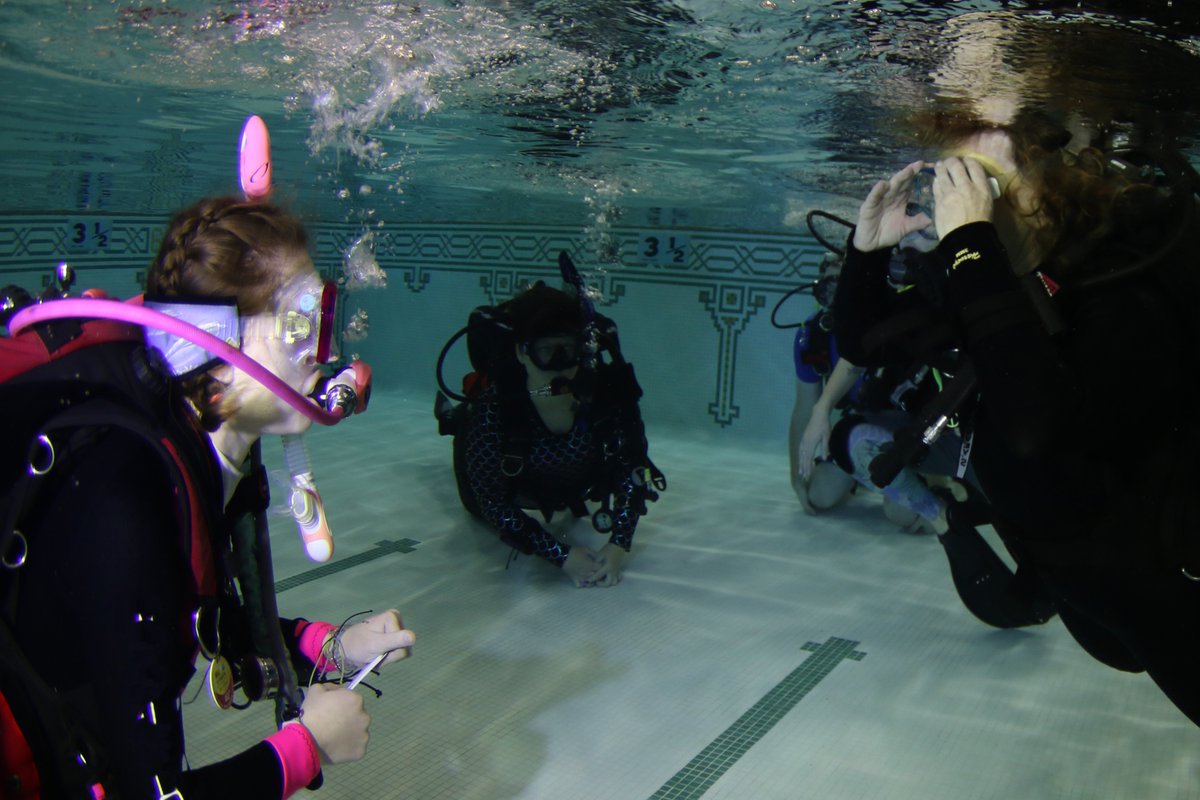 Diversinc's tweet image. Take the plunge with our beginner scuba courses!

Learn from the best and turn curiosity into capability. 

Your underwater adventure starts here! 🤿 #learntoscuba #DiveTraining