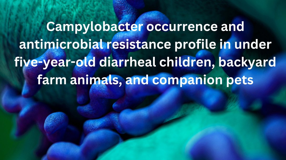 One Health - U of Guelph (@onehealthuofg) on Twitter photo In this new article, <a href="/WondemagegnMulu/">Wondemagegn Mulu</a> et al. found a co-occurrence of infection & identical antimicrobial susceptibility profiles in children & animals in the same Ethiopian homes, i.e. transmission of Campylobacter via surfaces contaminated with feces: tinyurl.com/ef8tpce6 In this new article, <a href="/WondemagegnMulu/">Wondemagegn Mulu</a> et al. found a co-occurrence of infection & identical antimicrobial susceptibility profiles in children & animals in the same Ethiopian homes, i.e. transmission of Campylobacter via surfaces contaminated with feces: tinyurl.com/ef8tpce6