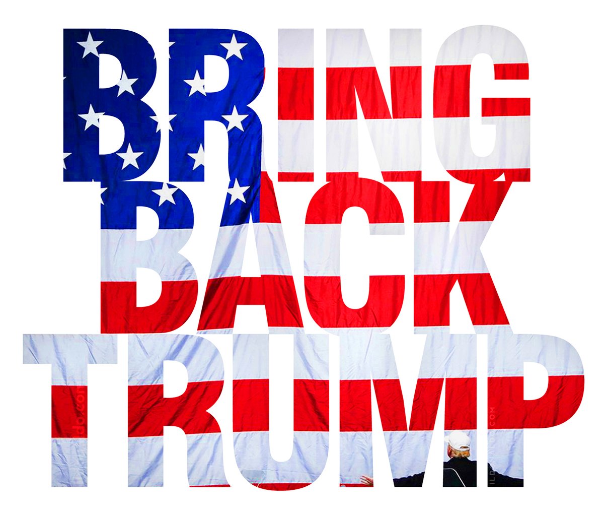 il Donaldo Trumpo (@papitrumpo) on Twitter photo 