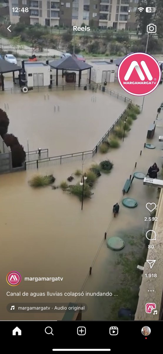 ROMINABASAEZ's tweet photo. Condominio altos marga marga de QUILPUE bajo el agua. @quilpueciudad  necesitamos ayuda para bajar el nivel de agua, vecinos afectados de 1 pisos con bebés. Aguas servidas también se requiere ayuda. @andreslongton https://t.co/9t7HycxN8X