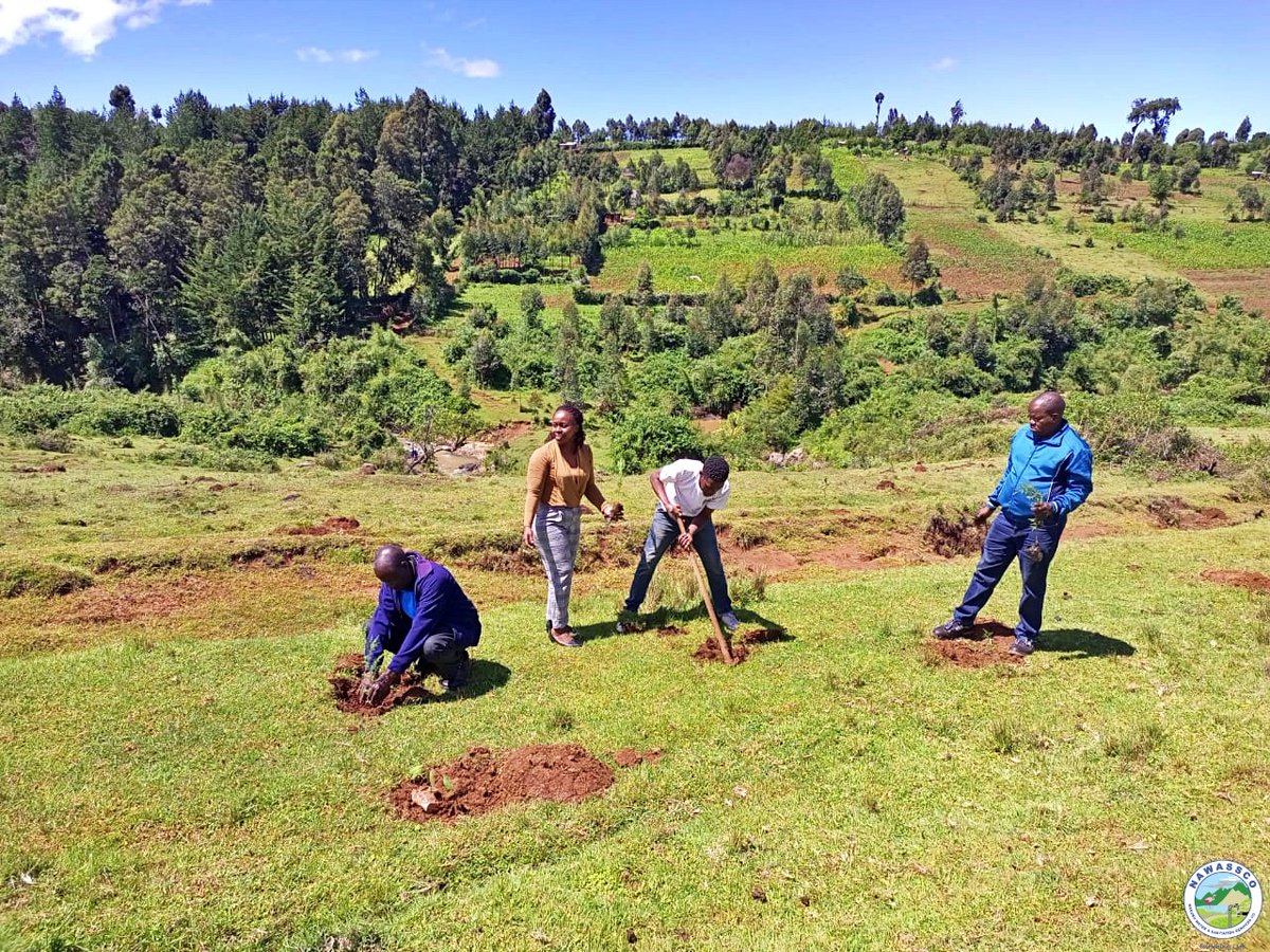NakuruWater's tweet photo. We joined the CS @MOWSI_KE, PSs @JKrir_K and @Eng_F_Ngeno, DG Governor @NakuruCountyGov & others at Itare Dam in Ndoinet Area for a tree planting exercise. cultivating a sustainable future!
#EnrichingLife #ConservationHeroes #TreePlanting
#NumberMoja #BigWins https://t.co/mrZGZDoJ4o
