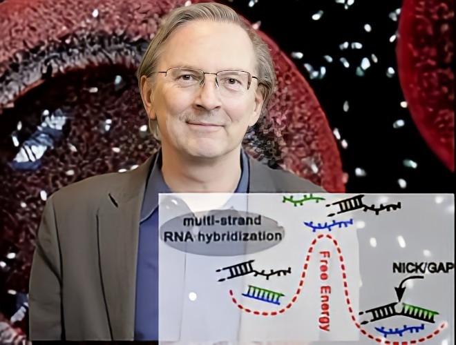 Out today in <a href="/J_A_C_S/">J. Am. Chem. Soc.</a>, the Jack Szostak lab continues to unpack the complex world of RNA interactions, revealing how upstream oligonucleotides impact downstream binding. <a href="/SzostakLab/">Szostak Lab</a> <a href="/HHMINEWS/">HHMI</a> @theserbianator 

pubs.acs.org/doi/10.1021/ja…