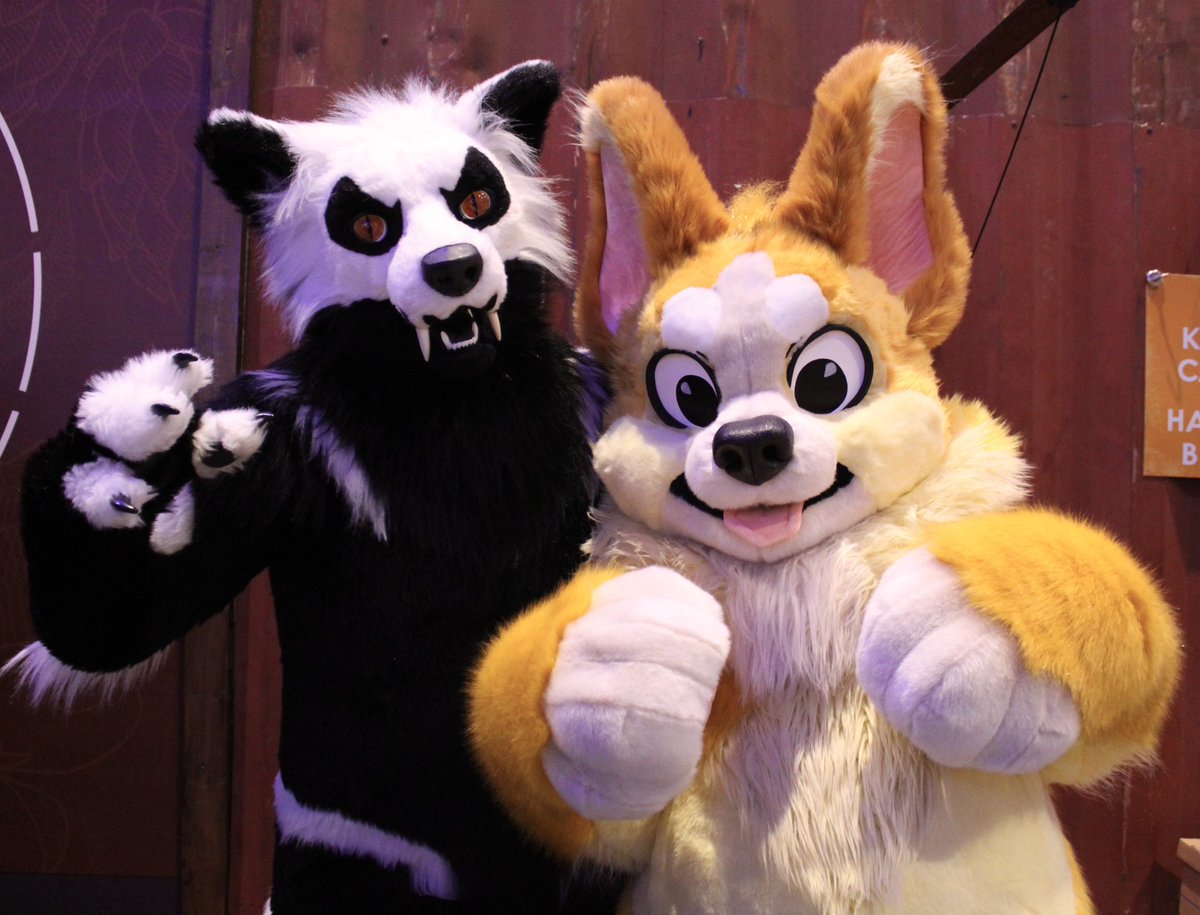 Fun #chompfl memories! Thank you to <a href="/Latinvixen/">Val / LatinVixen</a> for creating such a well run event!

💛🐾✨ Happy #fursuitfriday from these two silly lil’ pups. ✨🐾💛

📸: <a href="/StellahFish/">Stellah | Fish 🐟</a>