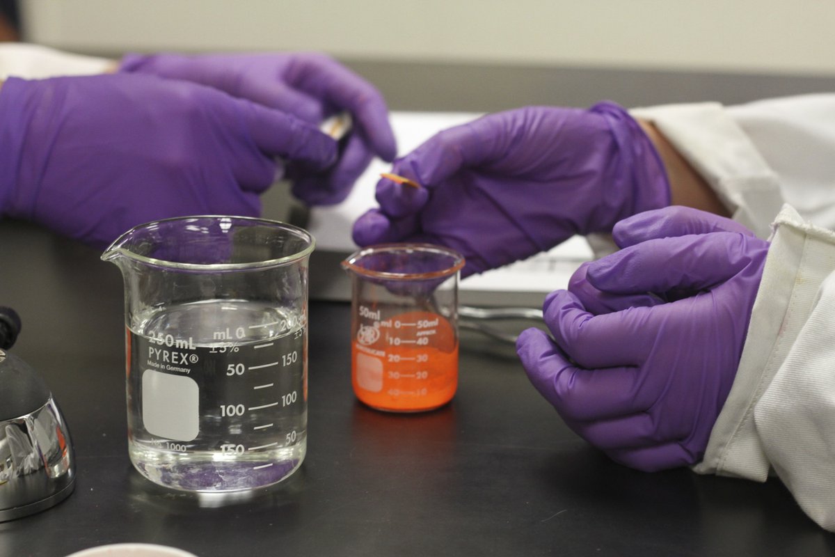 QuantumCamp tweet media