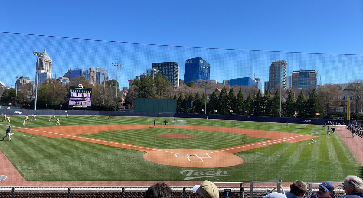 Excited for the future!🐝🐝