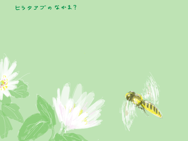 ヒラタアブのなかま？
本や映像で未同定の生き物がでてくると「〜のなかま」という言い回しをするけど、言葉の響きが絵本みたいでかわいい。