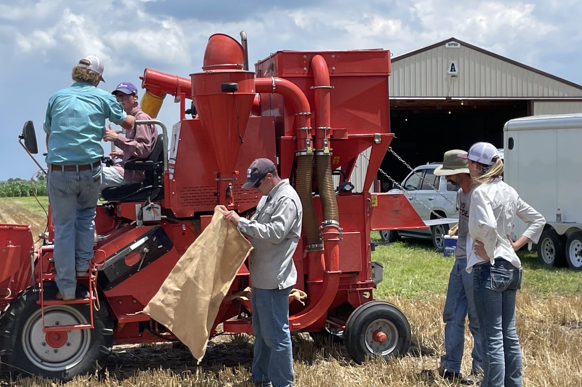 Training the next generation of wheat breeders this afternoon- ⁦<a href="/JohnAntholz/">Johnathan</a>⁩ is setting up four of our summer interns to take turns cutting stripe rust spreader rows. Our Hege 140 is a nice place to start.