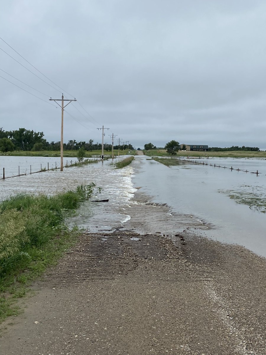 Soybeans starting to flower on the summer solstice. Looks like a monster crop coming
