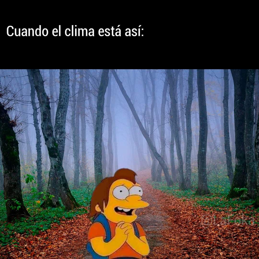 DiVaPurpleGamer's tweet photo. Fresquito! 🥹💜🌬️
#Clima #lluvias #fresco #friooooo #feliz #gamer #gamergirl #streamergirl https://t.co/6OpVG2rd2l