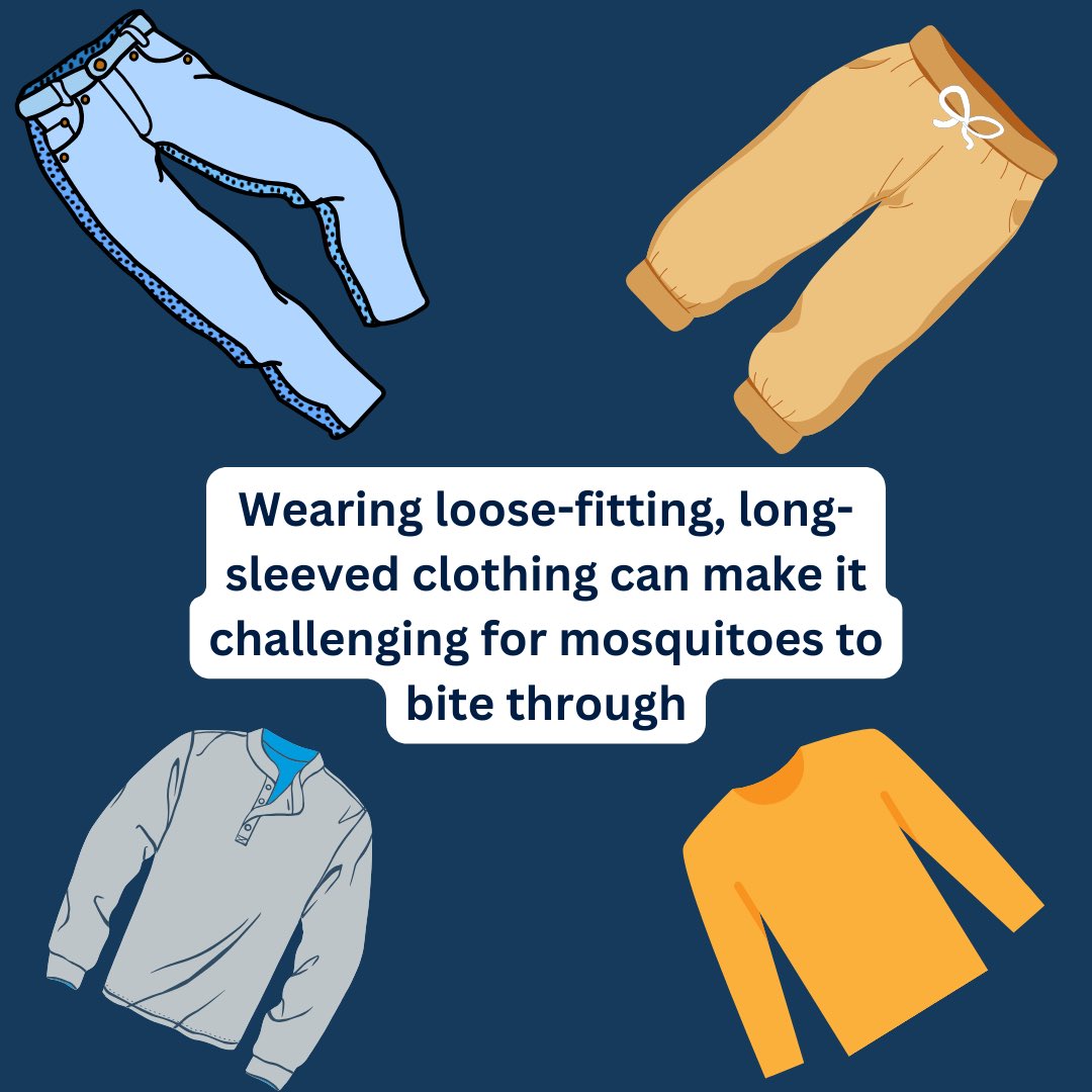 VectorEDNetwork's tweet image. Keep mosquitoes at bay with these tips: Wear loose, long-sleeved clothing to block their bites. Use EPA-approved repellents for effective protection against both mosquitoes and ticks. Treat your gear with permethrin and apply repellents as directed for maximum effectiveness.

1/2