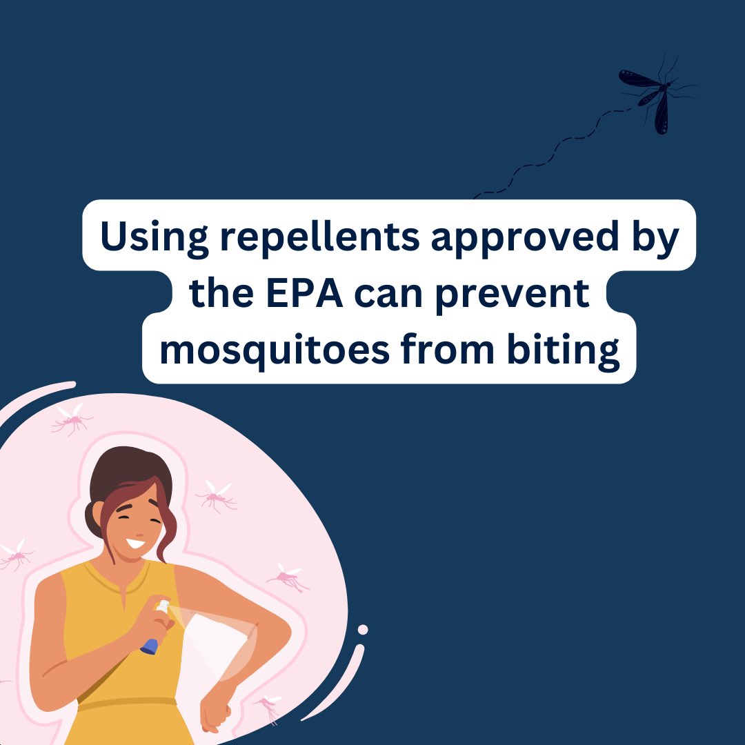 VectorEDNetwork's tweet image. Keep mosquitoes at bay with these tips: Wear loose, long-sleeved clothing to block their bites. Use EPA-approved repellents for effective protection against both mosquitoes and ticks. Treat your gear with permethrin and apply repellents as directed for maximum effectiveness.

1/2