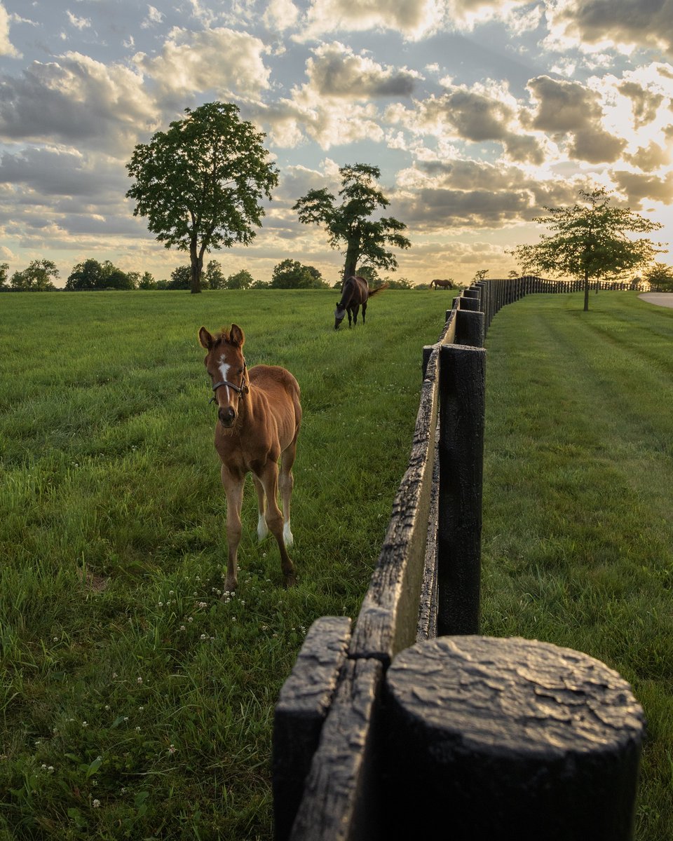 Kentucky Tourism tweet media