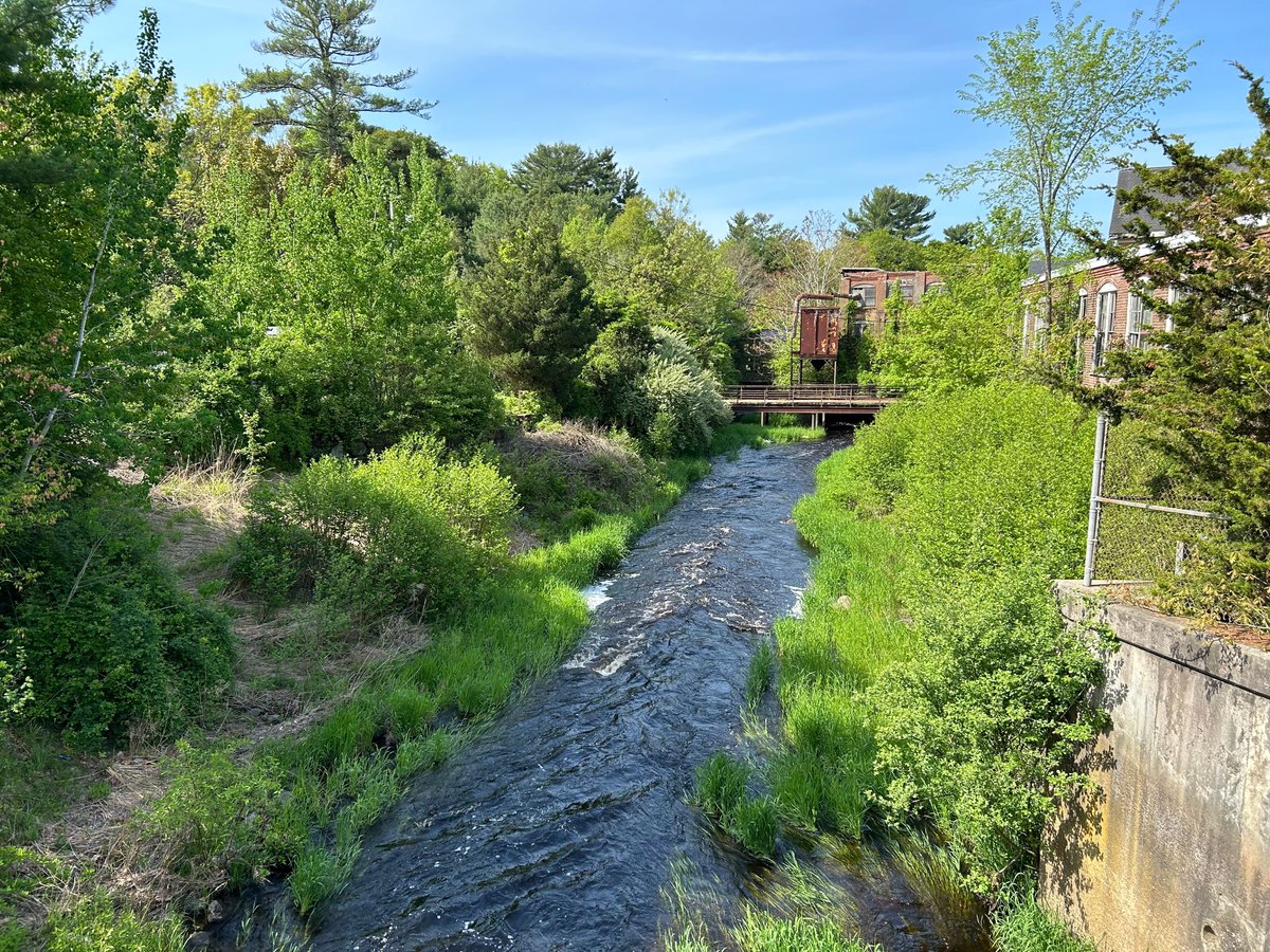 MassEcoRestore's tweet photo. The Satucket #RiverRestoration removed the Cotton Gin Mill Dam in 2017 to restore access to 13 river miles & increase public safety since the dam was rated as a “Significant Hazard”. Check out the before ('17) & 5 years post-restoration (May '24)! #flashback #DERPriorityProject https://t.co/VtcywDu11u