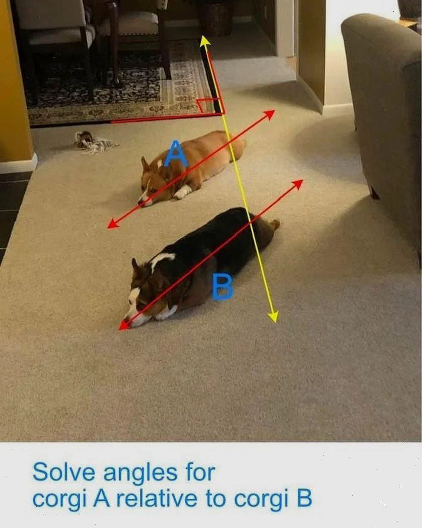 WholesomeMemes (@wholesomememe) on Twitter photo 