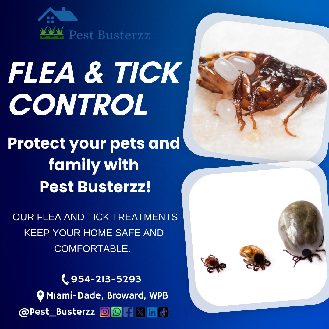 pest_busterzz's tweet image. Keep your home safe from fleas and ticks with Pest Busterzz! Our expert treatments ensure a comfortable, pest-free environment for your pets and family. 🐾🏡 #PestBusterzz #FleaAndTickControl #pestprevention #bedbugs #bugs pestbusterzz.com