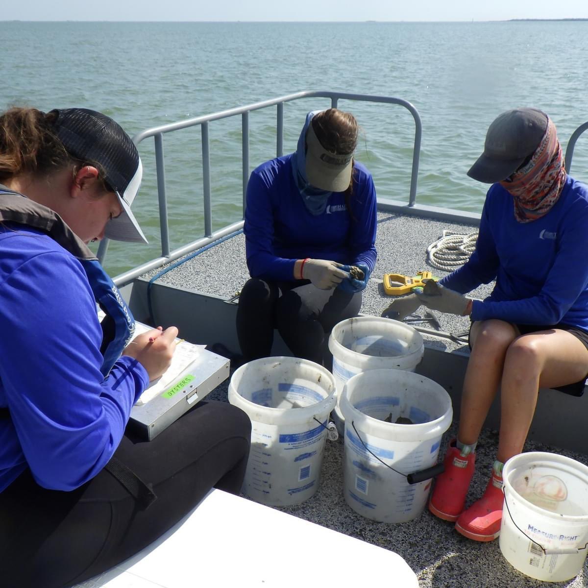 Coastal Conservation and Restoration Ecology Lab tweet media