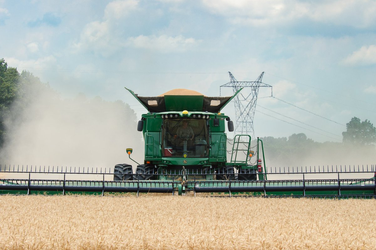 AgriMAXXWheat's tweet photo. AgriMAXX harvest in Kentucky continues on. Fields of AM 505 #highperformancewheat #wheat24 https://t.co/PfwKG6GW61
